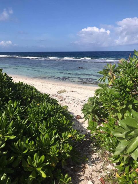 Moorea Temae Villa Walking Dist Beach And Golf المظهر الخارجي الصورة